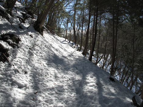 20180126hike (28)